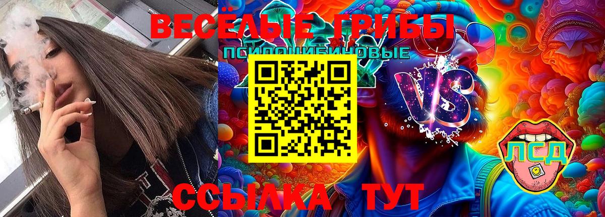Псилоцибиновые грибы Cubensis Черняховск