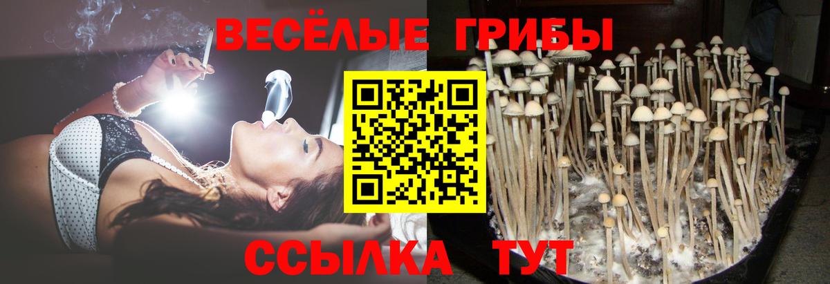 Галлюциногенные грибы мухоморы  Вход с VPN  Черняховск 